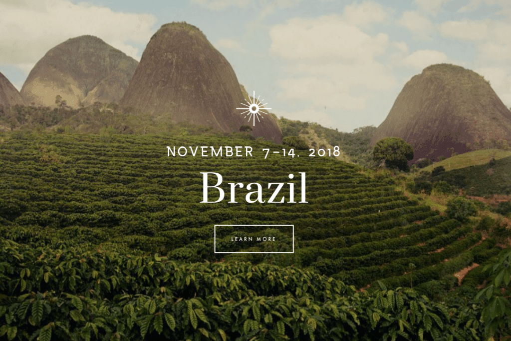 World Coffee Championships 2018 Brazília